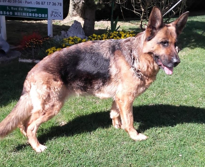 Lady du domaine des Anges gardiens