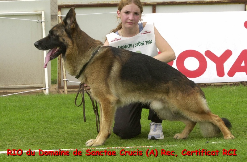Expositions, Concours